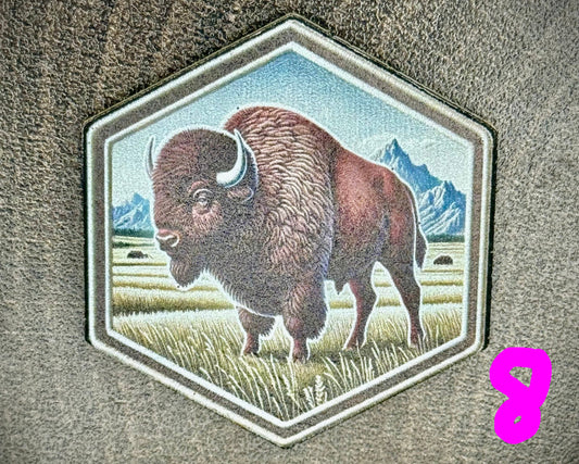 Big Game Collection 2 BYOH--Richardson 112+