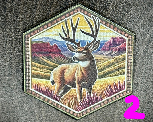 Big Game Collection 1 BYOH--Richardson 112+