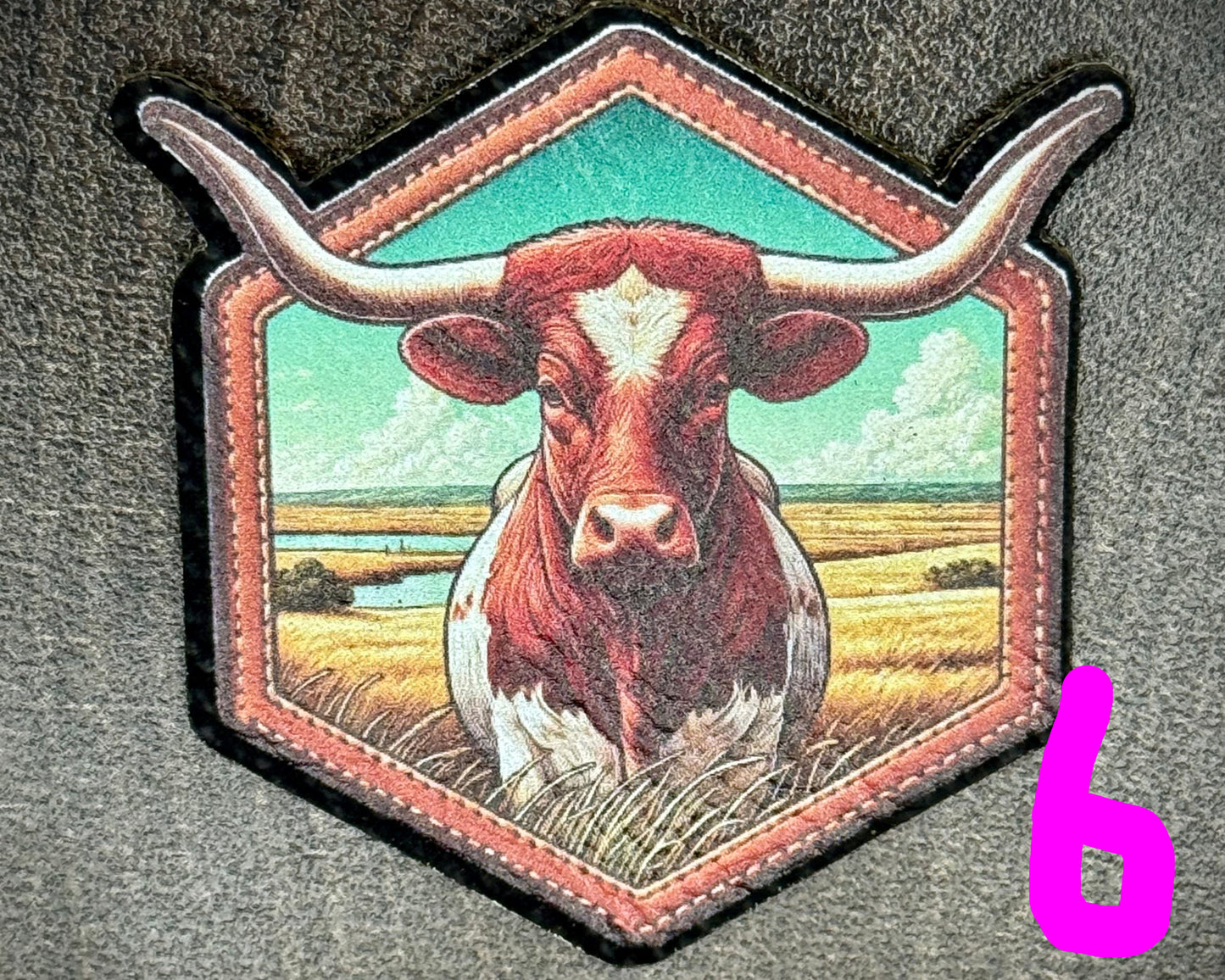 Miscellaneous UV Patch BYOH--Richardson 112+
