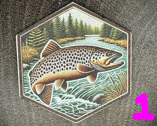 Fish BYOH--Richardson 112+